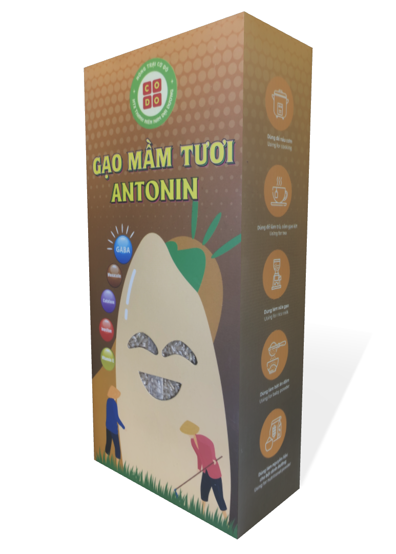 GẠO MẦM TƯƠI ANTONIN